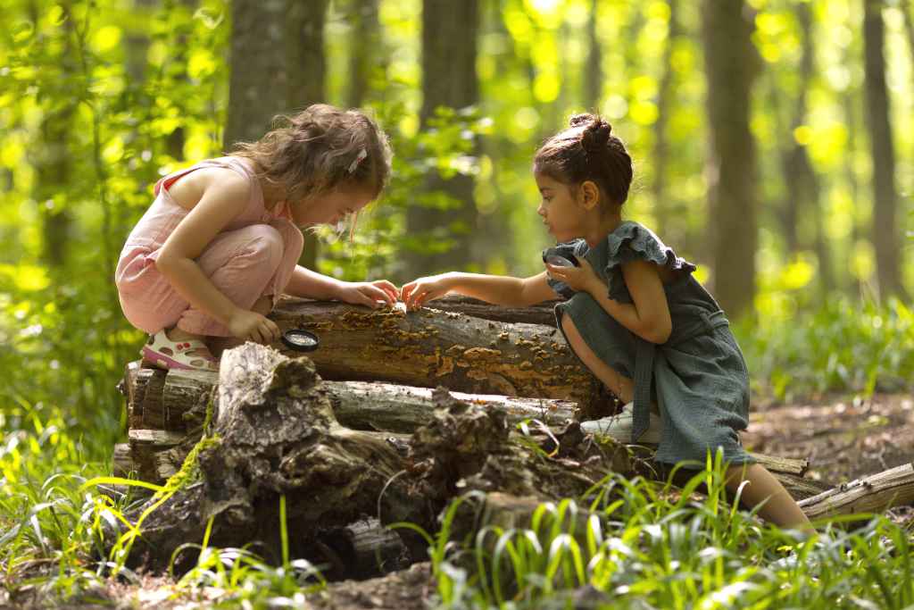 Raus in die Natur! Die besten Tipps für unvergessliche Ausflüge mit Kindern Raus in die Natur! Die besten Tipps für unvergessliche Ausflüge mit Kindern