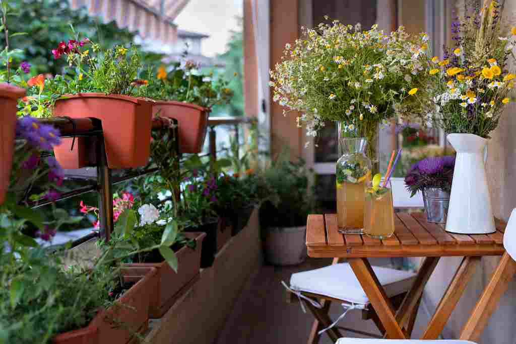Balkonpflanzen Tipps und Ideen: Verwandle deinen Balkon in ein grünes Paradies Balkonpflanzen Tipps und Ideen: Verwandle deinen Balkon in ein grünes Paradies