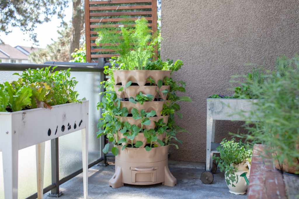 Balkonpflanzen Tipps und Ideen: Verwandle deinen Balkon in ein grünes Paradies Balkonpflanzen Tipps und Ideen: Verwandle deinen Balkon in ein grünes Paradies